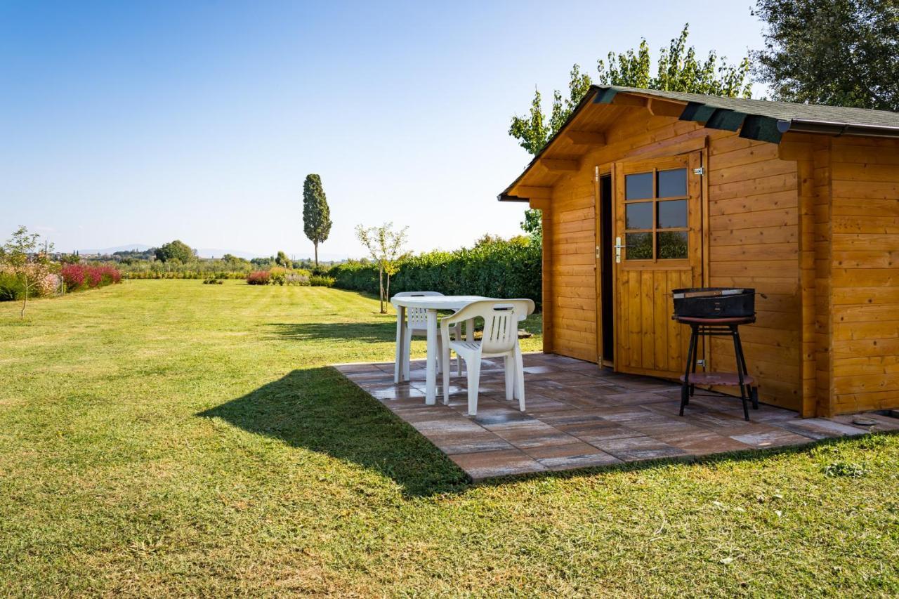 Borgo Terrosi Bed & Breakfast Sinalunga Luaran gambar